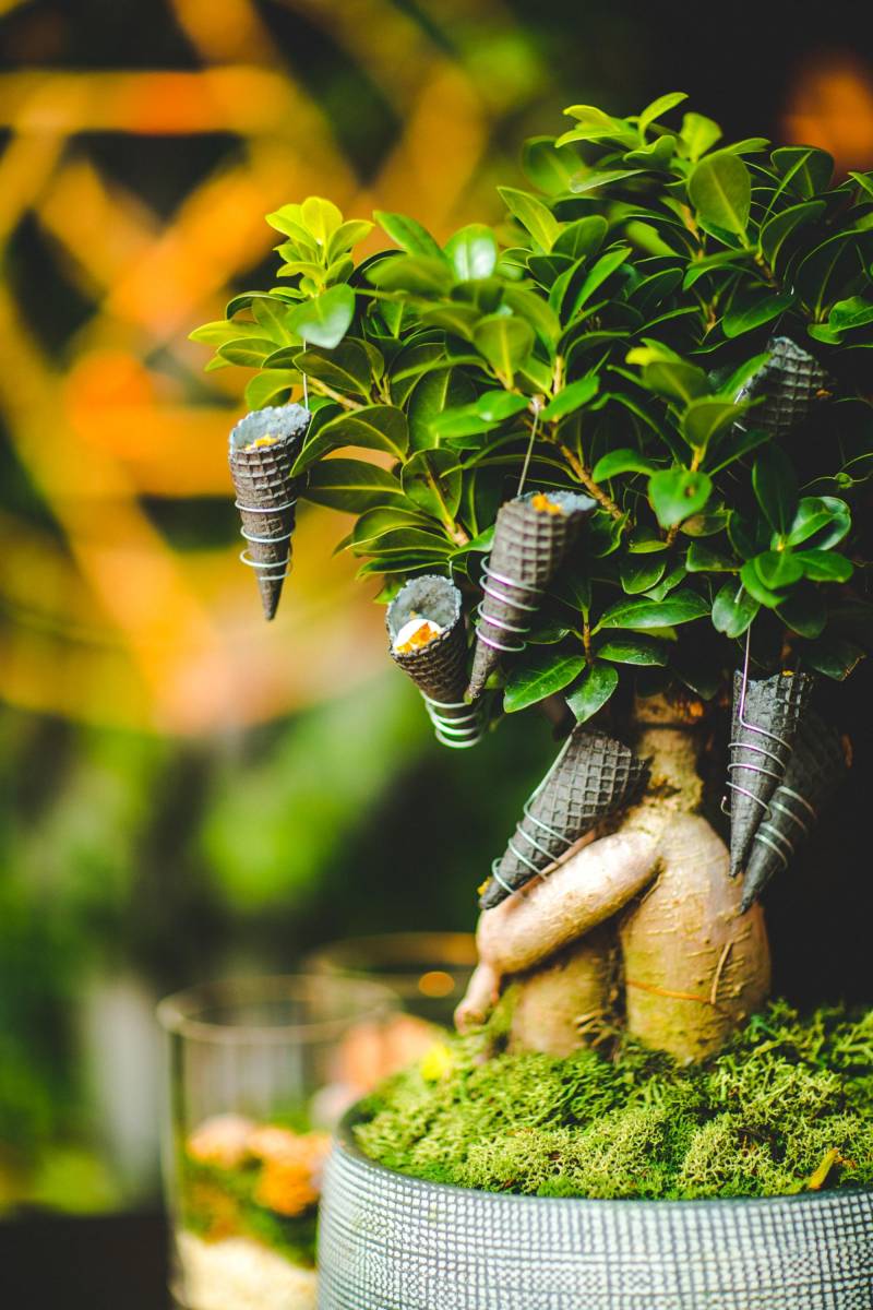 J&M Catering - Catering - House of Weddings (12)